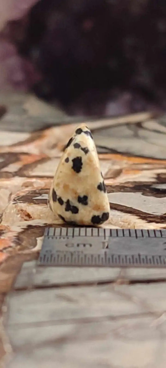 Jaspe dalmatien du Brésil pierre roulée Grade A++++ Jaspe dalmatien pierre roulée