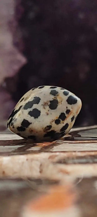 Jaspe dalmatien du Brésil pierre roulée Grade A++++ Jaspe dalmatien pendentif