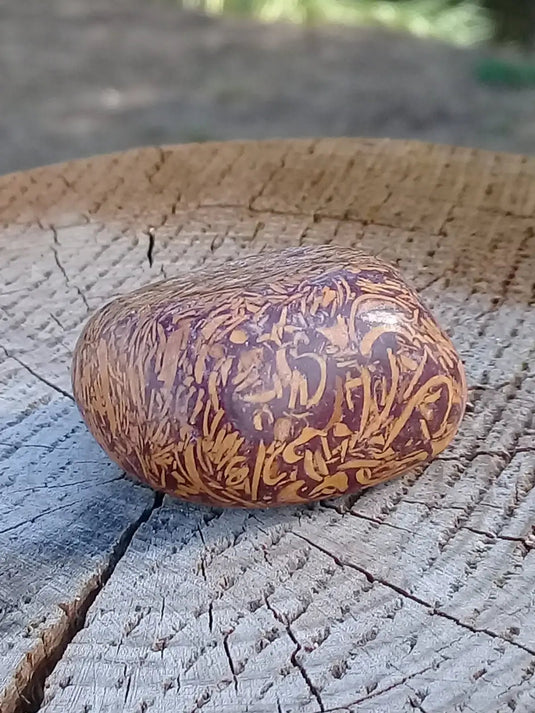 Jaspe Éléphant pierre roulée Grade A ++++ Jaspe Éléphant pierre roulée