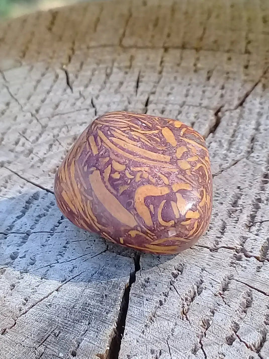 Jaspe Éléphant pierre roulée Grade A ++++ Jaspe Éléphant pierre roulée