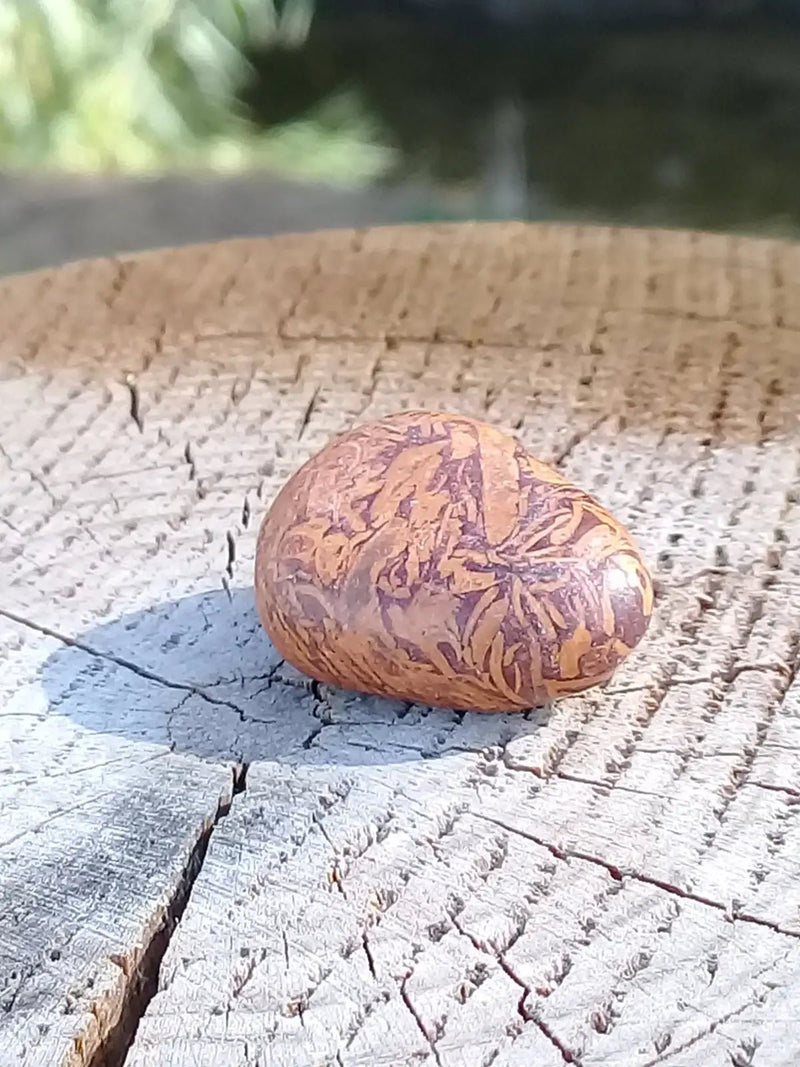 Load image into Gallery viewer, Jaspe Éléphant pierre roulée Grade A ++++ Jaspe Éléphant pierre roulée
