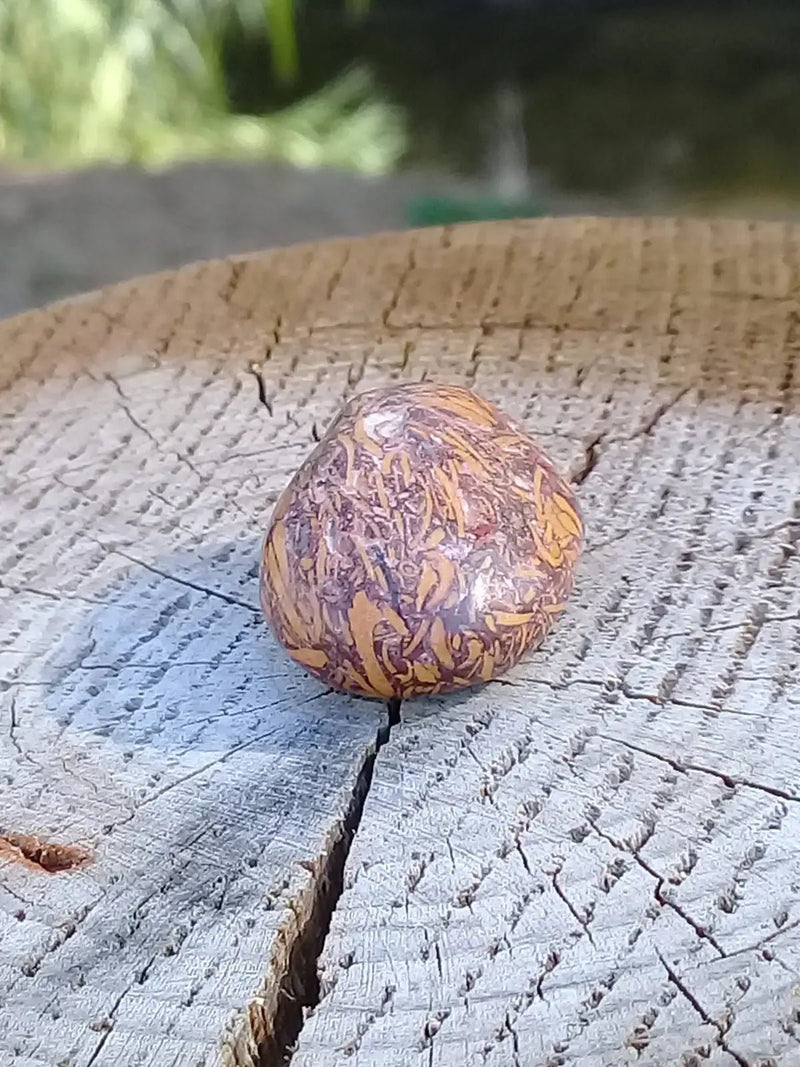 Load image into Gallery viewer, Jaspe Éléphant pierre roulée Grade A ++++ Jaspe Éléphant pierre roulée
