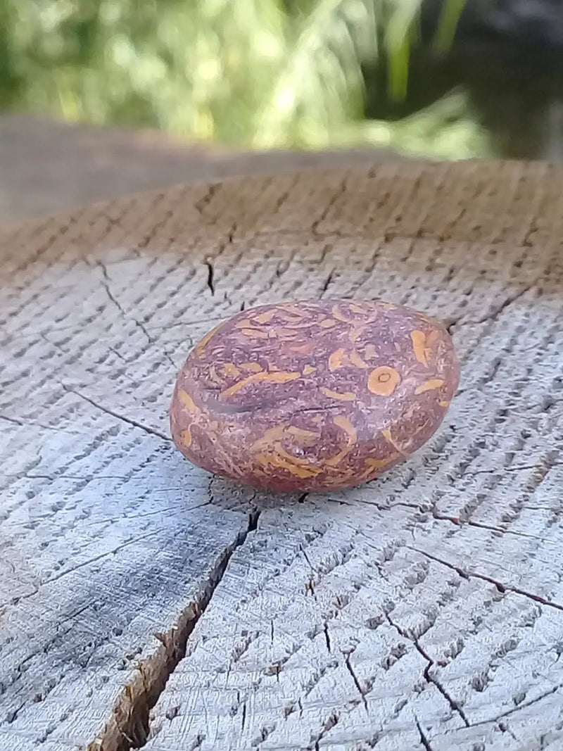 Load image into Gallery viewer, Jaspe Éléphant pierre roulée Grade A ++++ Jaspe Éléphant pierre roulée
