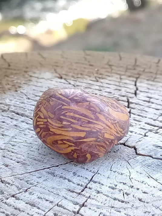 Jaspe Éléphant pierre roulée Grade A ++++ Jaspe Éléphant pierre roulée