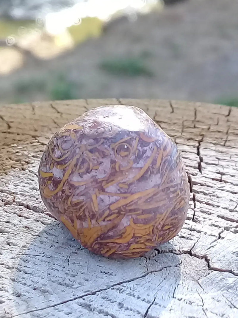 Load image into Gallery viewer, Jaspe Éléphant pierre roulée Grade A ++++ Jaspe Éléphant pierre roulée
