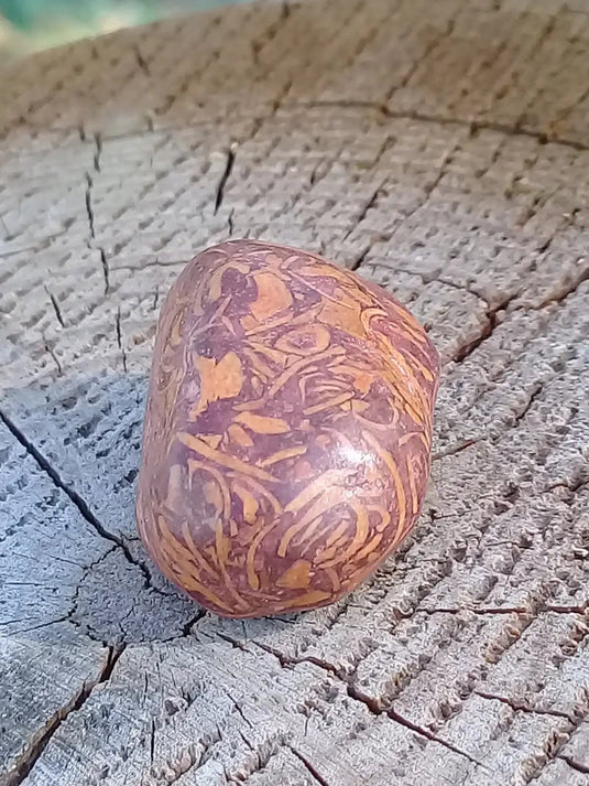 Jaspe Éléphant pierre roulée Grade A ++++ Jaspe Éléphant pierre roulée