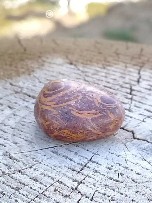 Jaspe Éléphant pierre roulée Grade A ++++ Jaspe Éléphant pierre roulée