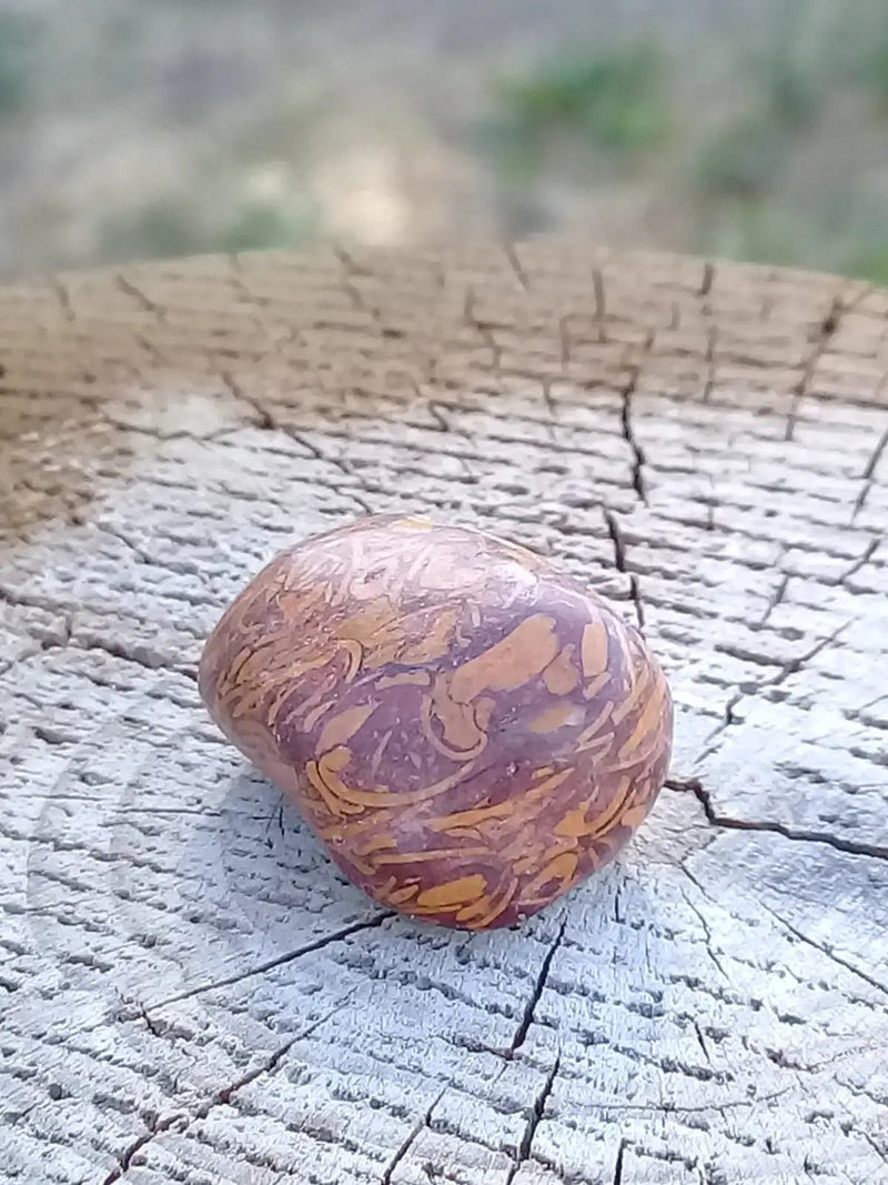 Chargez l&#39;image dans la visionneuse de la galerie, Jaspe Éléphant pierre roulée Grade A ++++ Jaspe Éléphant pierre roulée
