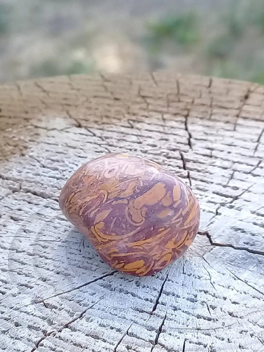 Jaspe Éléphant pierre roulée Grade A ++++ Jaspe Éléphant pierre roulée