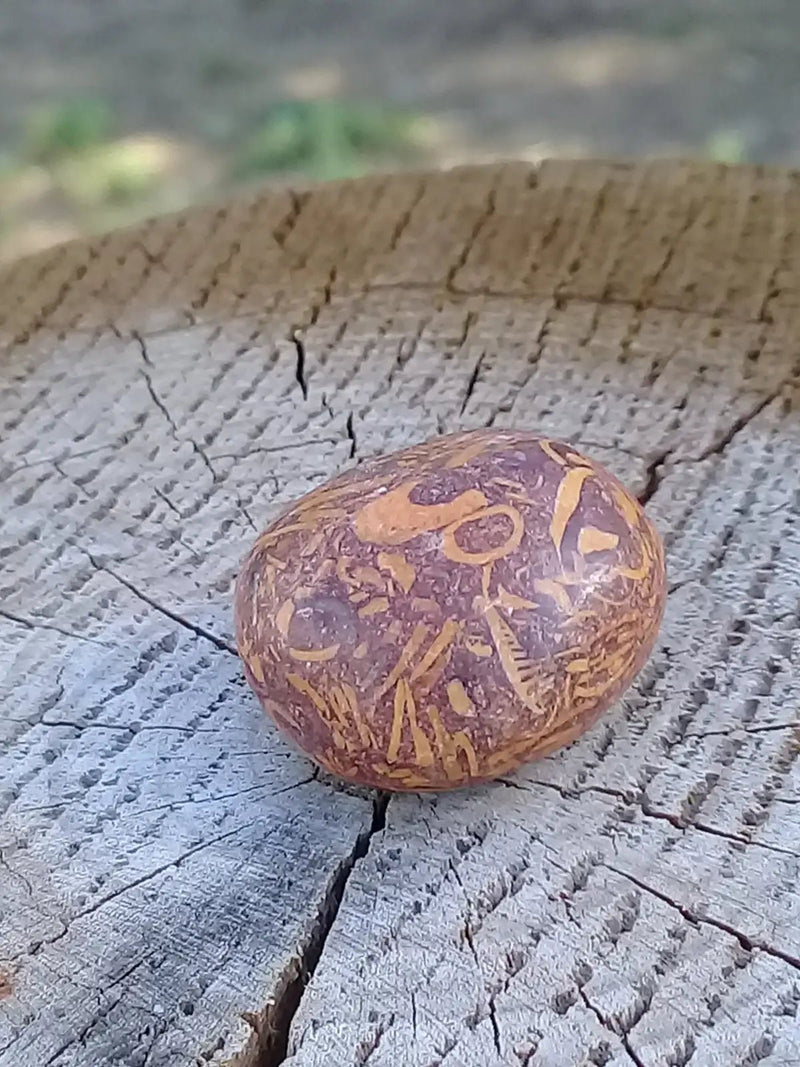 Load image into Gallery viewer, Jaspe Éléphant pierre roulée Grade A ++++ Jaspe Éléphant pierre roulée
