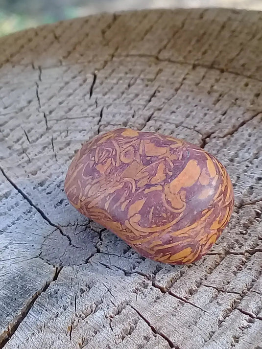 Jaspe Éléphant pierre roulée Grade A ++++ Jaspe Éléphant pierre roulée