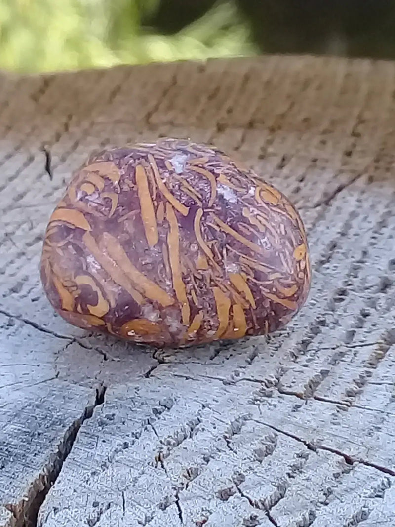 Chargez l&#39;image dans la visionneuse de la galerie, Jaspe Éléphant pierre roulée Grade A ++++ Jaspe Éléphant pierre roulée
