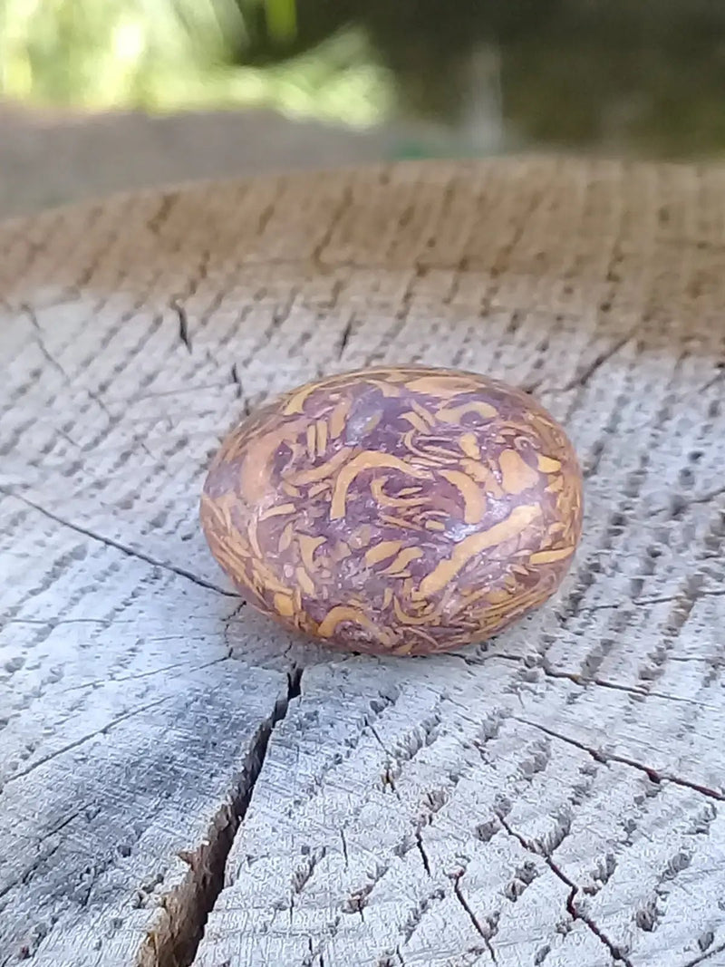 Load image into Gallery viewer, Jaspe Éléphant pierre roulée Grade A ++++ Jaspe Éléphant pierre roulée
