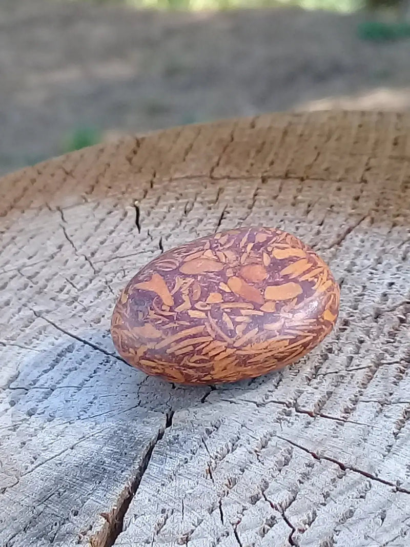 Load image into Gallery viewer, Jaspe Éléphant pierre roulée Grade A ++++ Jaspe Éléphant pierre roulée
