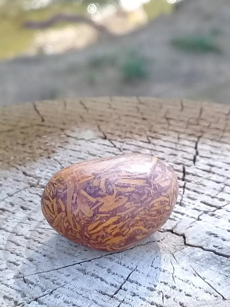 Load image into Gallery viewer, Jaspe Éléphant pierre roulée Grade A ++++ Jaspe Éléphant pierre roulée
