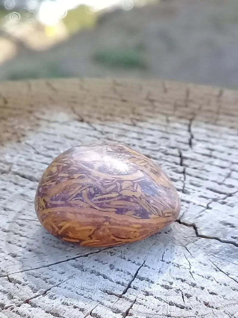 Load image into Gallery viewer, Jaspe Éléphant pierre roulée Grade A ++++ Jaspe Éléphant pierre roulée
