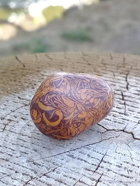 Jaspe Éléphant pierre roulée Grade A ++++ Jaspe Éléphant pierre roulée