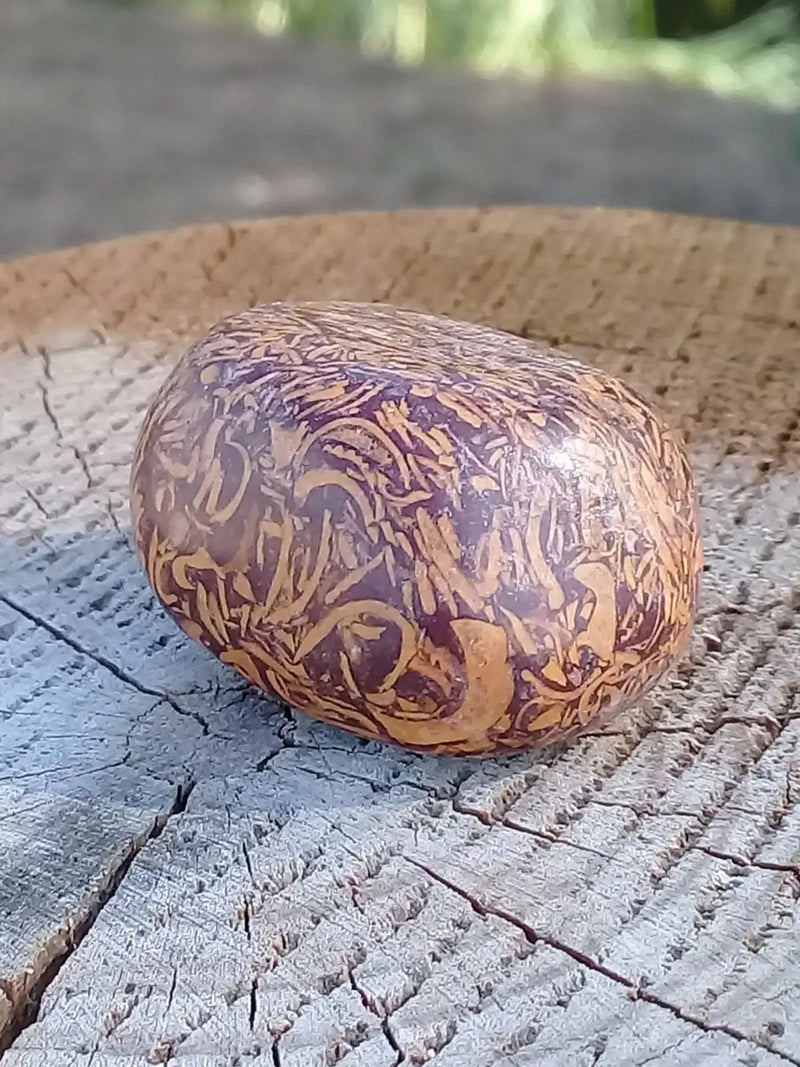 Chargez l&#39;image dans la visionneuse de la galerie, Jaspe Éléphant pierre roulée Grade A ++++ Jaspe Éléphant pierre roulée
