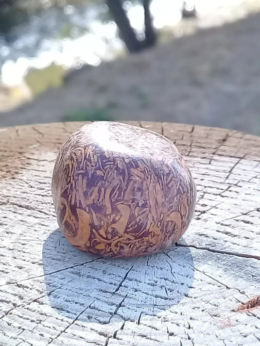 Jaspe Éléphant pierre roulée Grade A ++++ Jaspe Éléphant pierre roulée