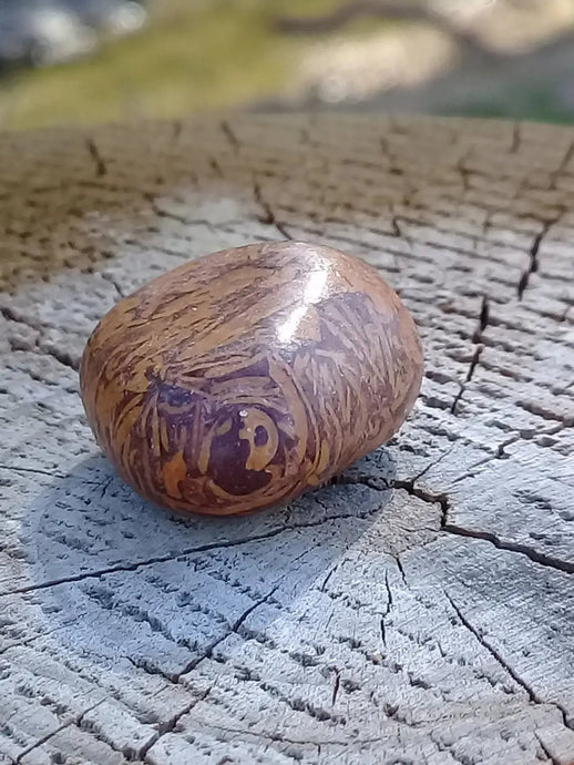 Jaspe Éléphant pierre roulée Grade A ++++ Jaspe Éléphant pierre roulée