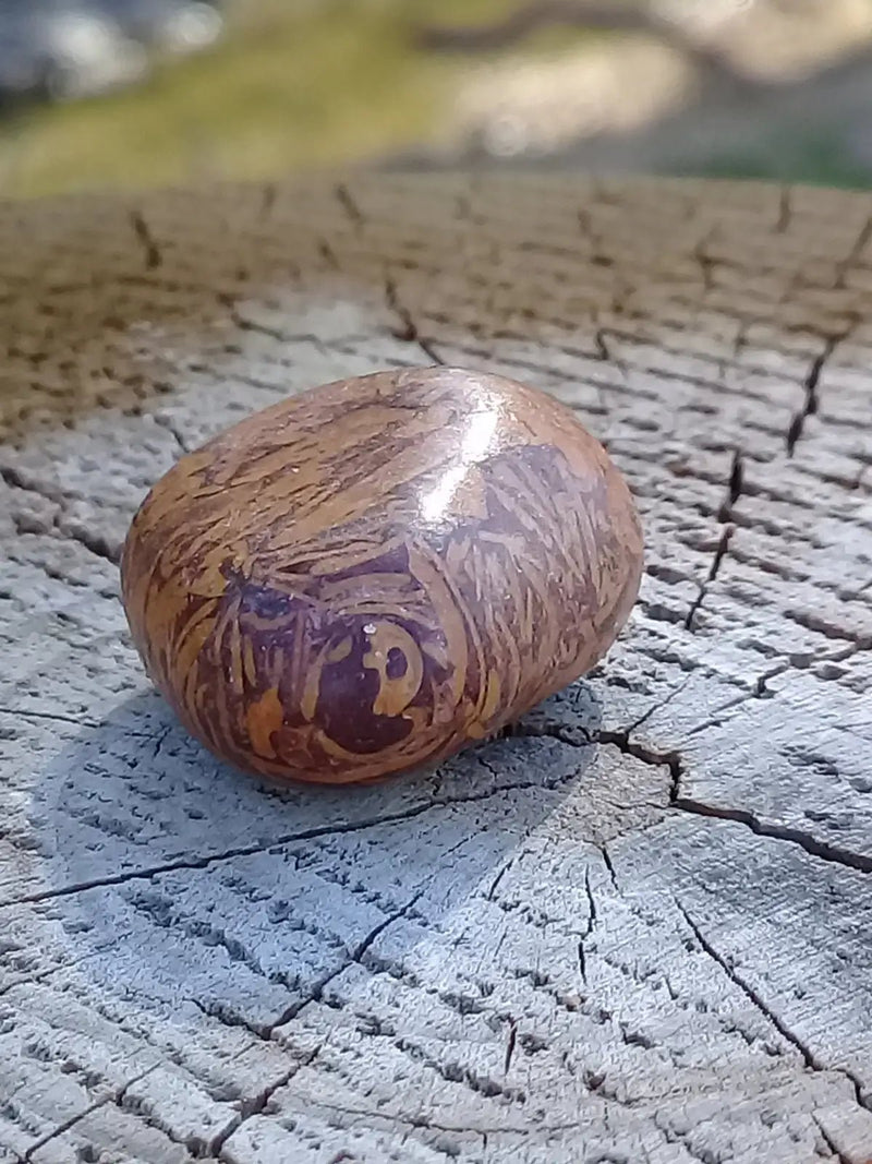 Load image into Gallery viewer, Jaspe Éléphant pierre roulée Grade A ++++ Jaspe Éléphant pierre roulée
