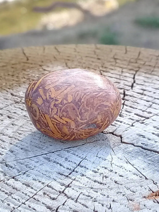 Jaspe Éléphant pierre roulée Grade A ++++ Jaspe Éléphant pierre roulée