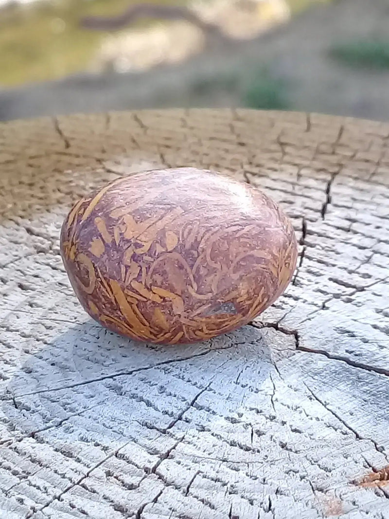 Load image into Gallery viewer, Jaspe Éléphant pierre roulée Grade A ++++ Jaspe Éléphant pierre roulée
