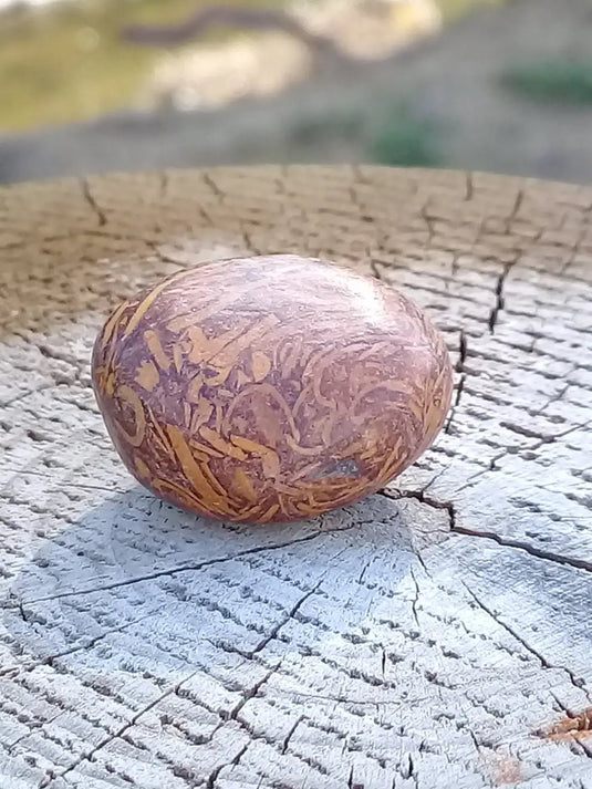 Jaspe Éléphant pierre roulée Grade A ++++ Jaspe Éléphant pierre roulée