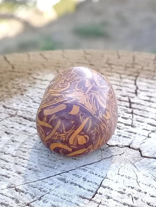 Jaspe Éléphant pierre roulée Grade A ++++ Jaspe Éléphant pierre roulée