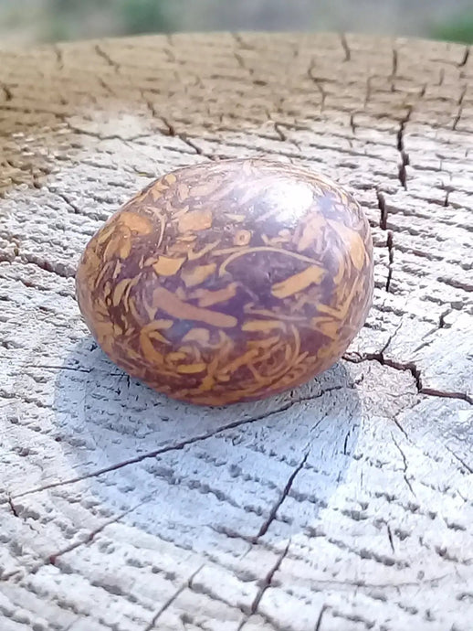 Jaspe Éléphant pierre roulée Grade A ++++ Jaspe Éléphant pierre roulée