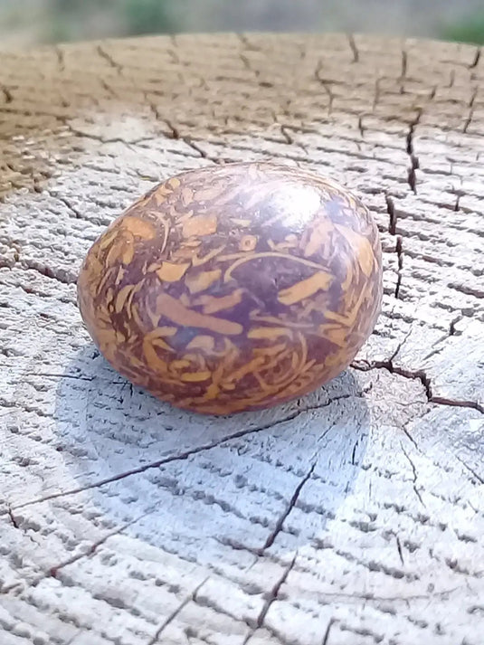 Jaspe Éléphant pierre roulée Grade A ++++ Jaspe Éléphant pierre roulée