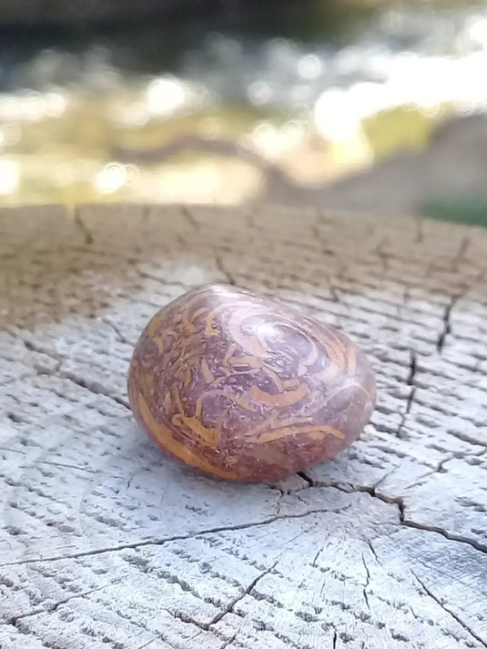 Jaspe Éléphant pierre roulée Grade A ++++ Jaspe Éléphant pierre roulée