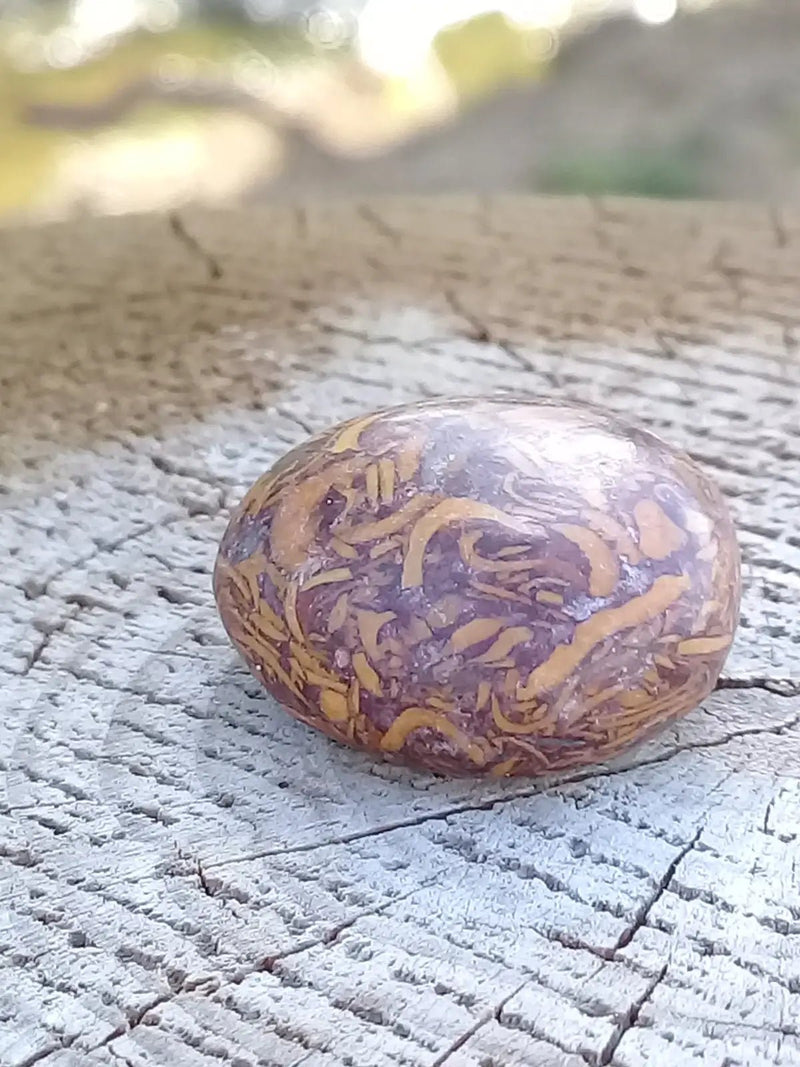 Load image into Gallery viewer, Jaspe Éléphant pierre roulée Grade A ++++ Jaspe Éléphant pierre roulée
