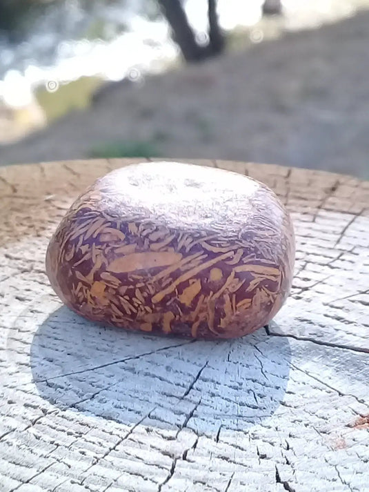 Jaspe Éléphant pierre roulée Grade A ++++ Jaspe Éléphant pierre roulée