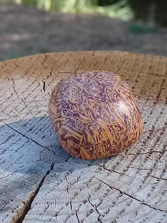 Jaspe Éléphant pierre roulée Grade A ++++ Jaspe Éléphant pierre roulée