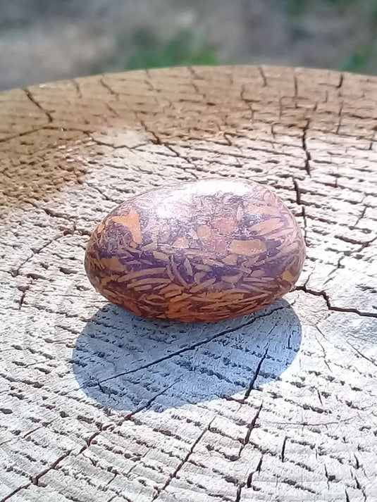 Jaspe Éléphant pierre roulée Grade A ++++ Jaspe Éléphant pierre roulée