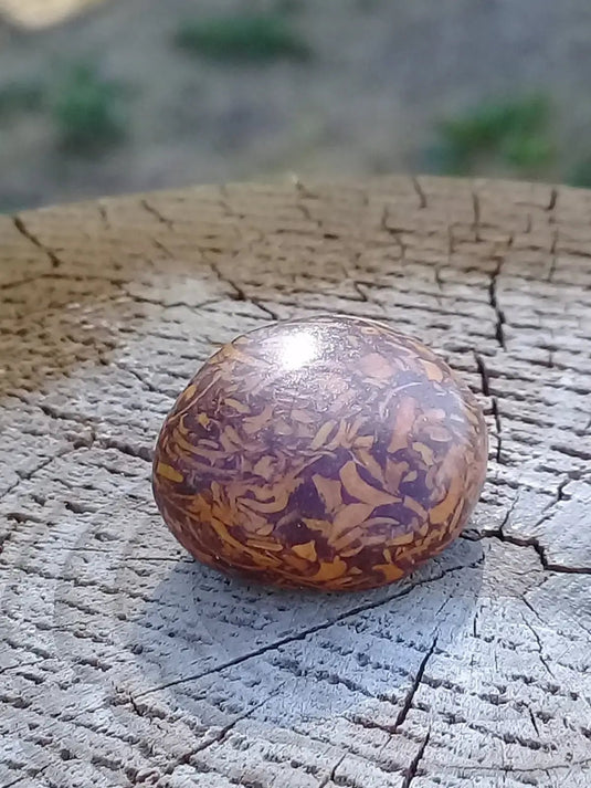 Jaspe Éléphant pierre roulée Grade A ++++ Jaspe Éléphant pierre roulée