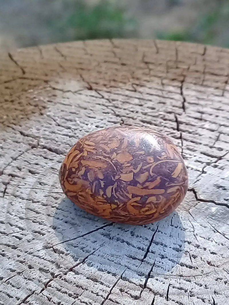 Load image into Gallery viewer, Jaspe Éléphant pierre roulée Grade A ++++ Jaspe Éléphant pierre roulée
