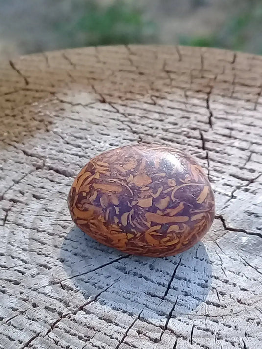 Jaspe Éléphant pierre roulée Grade A ++++ Jaspe Éléphant pierre roulée