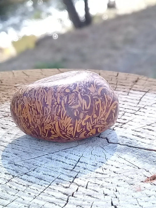 Jaspe Éléphant pierre roulée Grade A ++++ Jaspe Éléphant pierre roulée