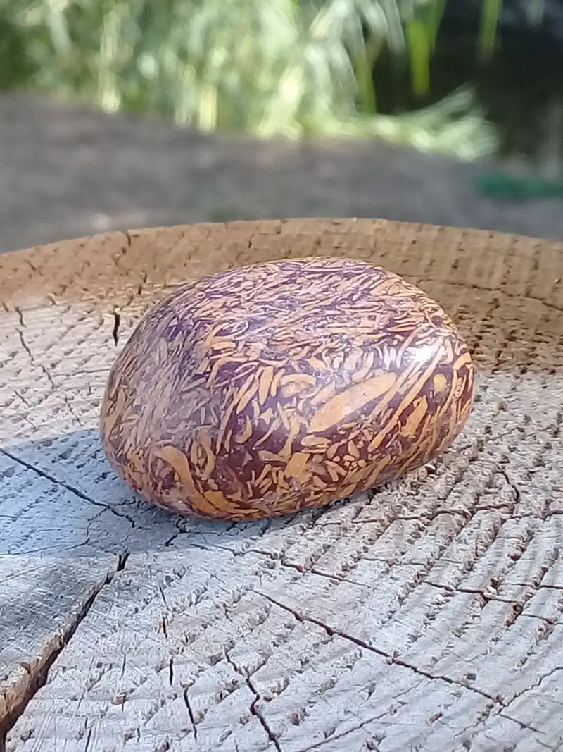 Chargez l&#39;image dans la visionneuse de la galerie, Jaspe Éléphant pierre roulée Grade A ++++ Jaspe Éléphant pierre roulée
