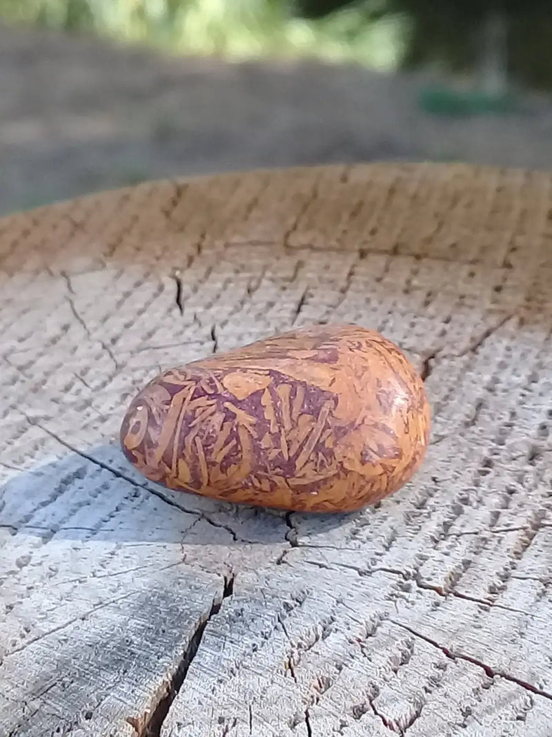 Load image into Gallery viewer, Jaspe Éléphant pierre roulée Grade A ++++ Jaspe Éléphant pierre roulée
