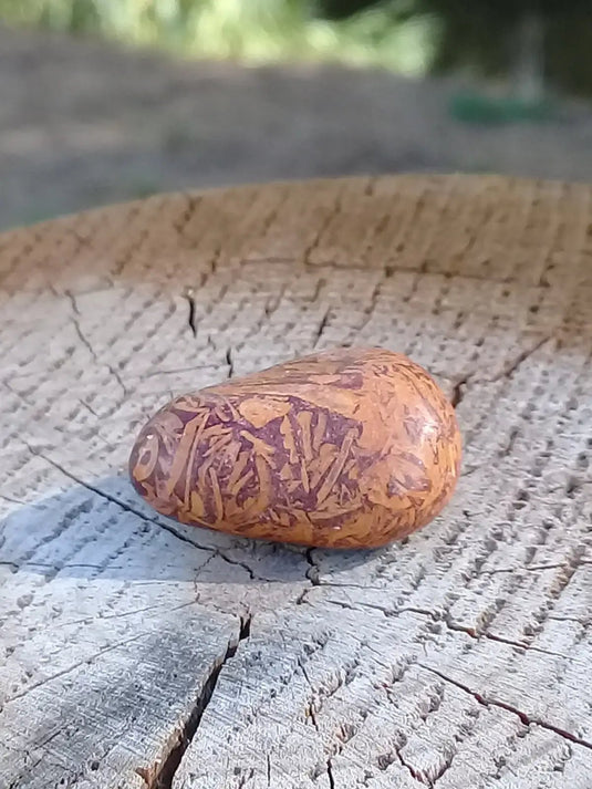 Jaspe Éléphant pierre roulée Grade A ++++ Jaspe Éléphant pierre roulée