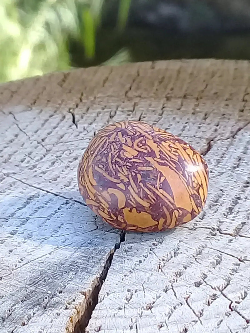 Chargez l&#39;image dans la visionneuse de la galerie, Jaspe Éléphant pierre roulée Grade A ++++ Jaspe Éléphant pierre roulée
