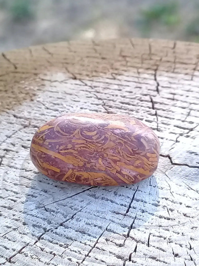 Chargez l&#39;image dans la visionneuse de la galerie, Jaspe Éléphant pierre roulée Grade A ++++ Jaspe Éléphant pierre roulée
