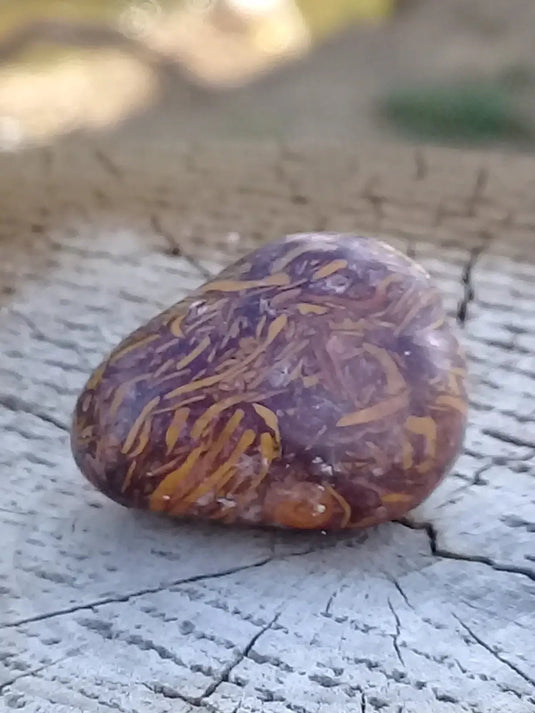 Jaspe Éléphant pierre roulée Grade A ++++ Jaspe Éléphant pierre roulée