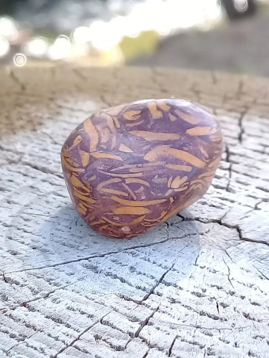 Jaspe Éléphant pierre roulée Grade A ++++ Jaspe Éléphant pierre roulée