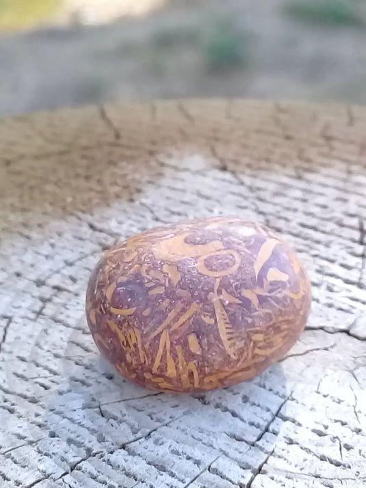 Jaspe Éléphant pierre roulée Grade A ++++ Jaspe Éléphant pierre roulée