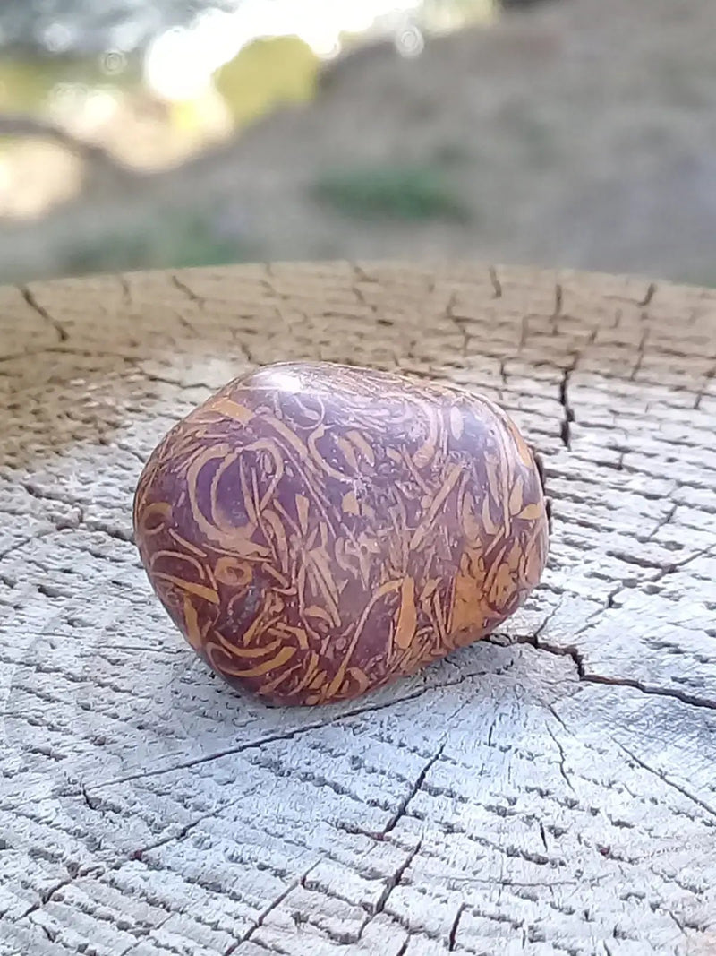 Load image into Gallery viewer, Jaspe Éléphant pierre roulée Grade A ++++ Jaspe Éléphant pierre roulée
