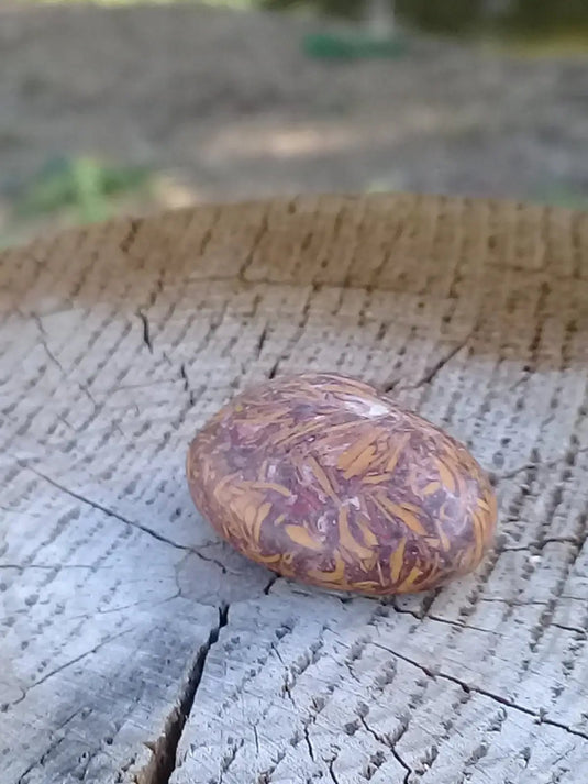 Jaspe Éléphant pierre roulée Grade A ++++ Jaspe Éléphant pierre roulée